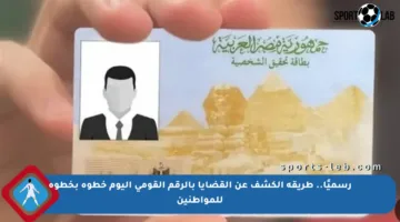رسميًا.. طريقة الكشف عن القضايا بالرقم القومي اليوم خطوة بخطوة للمواطنين